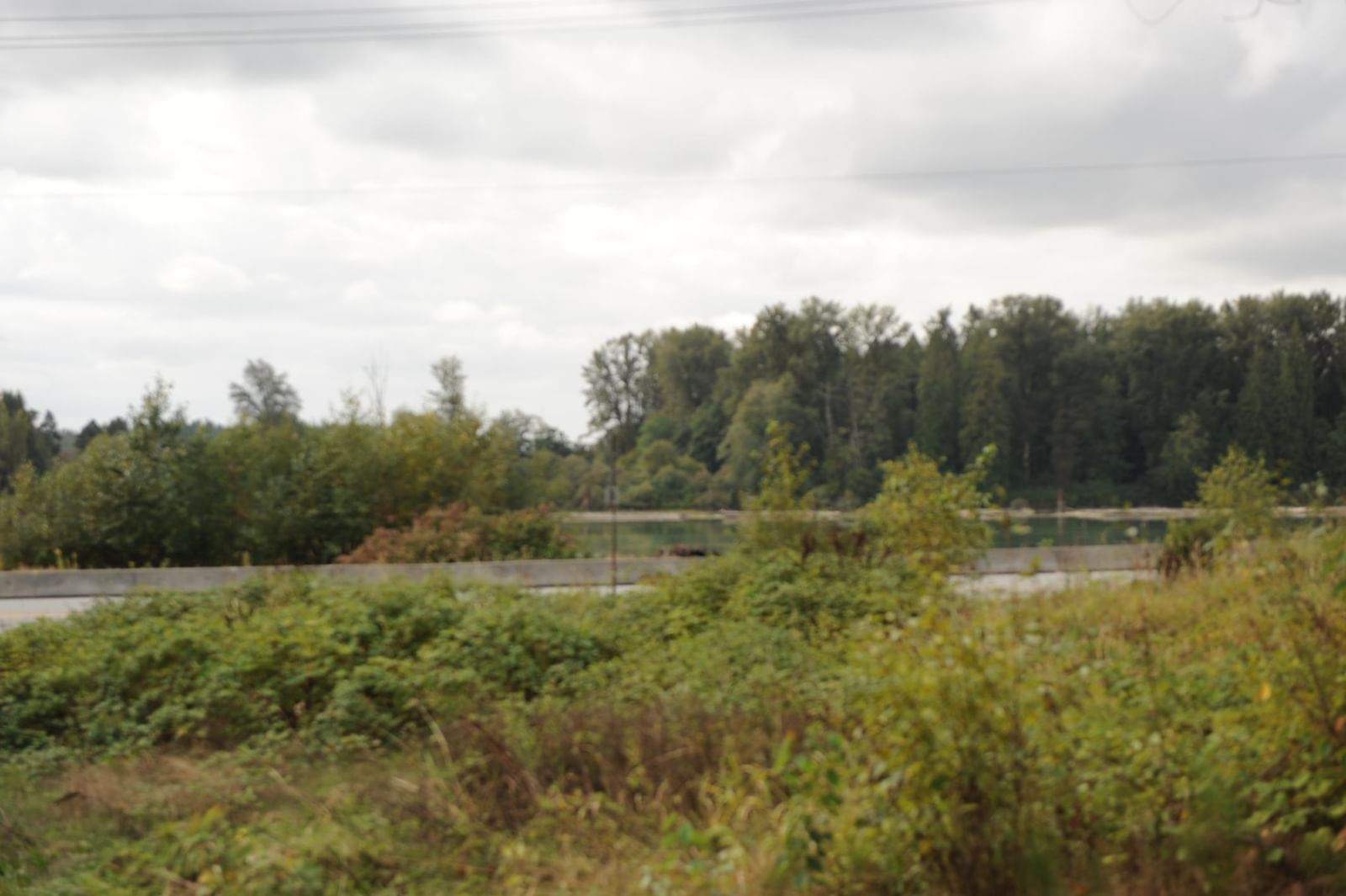 Listing Image 30