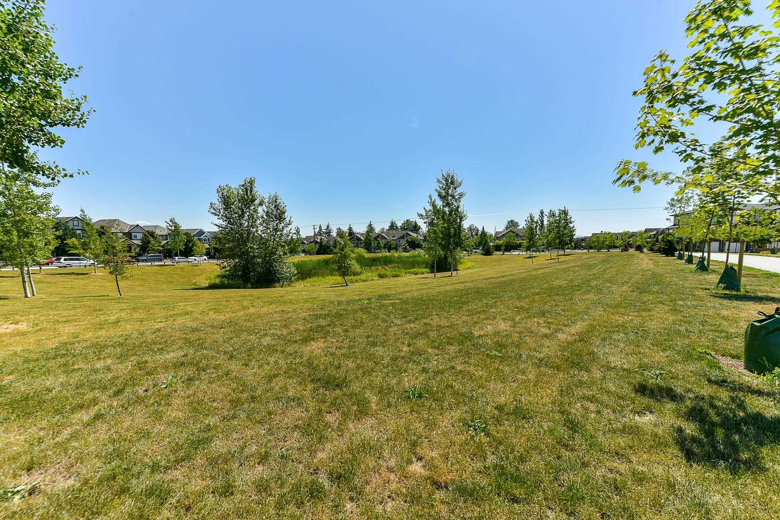 Listing Image 38