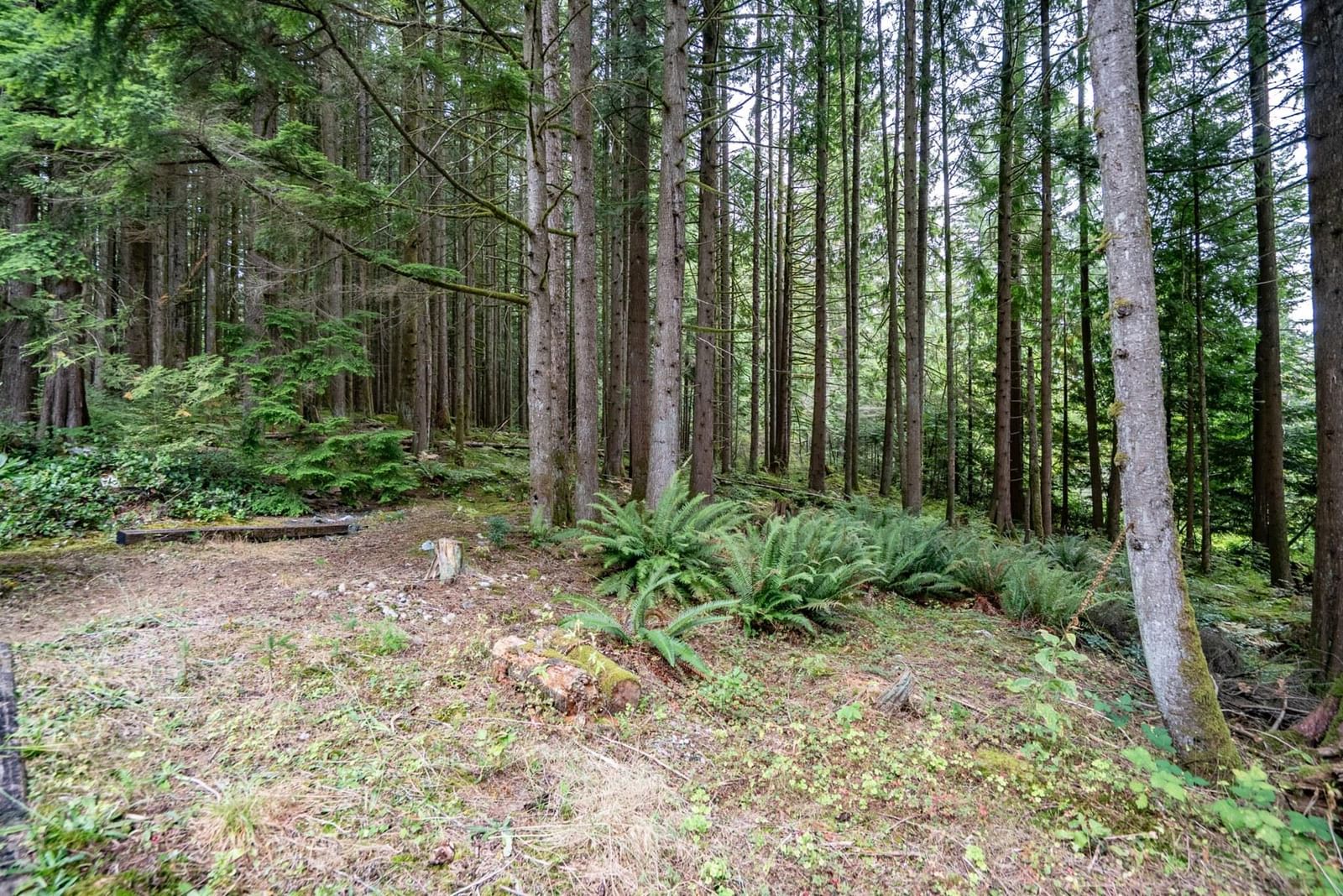 Listing Image 39
