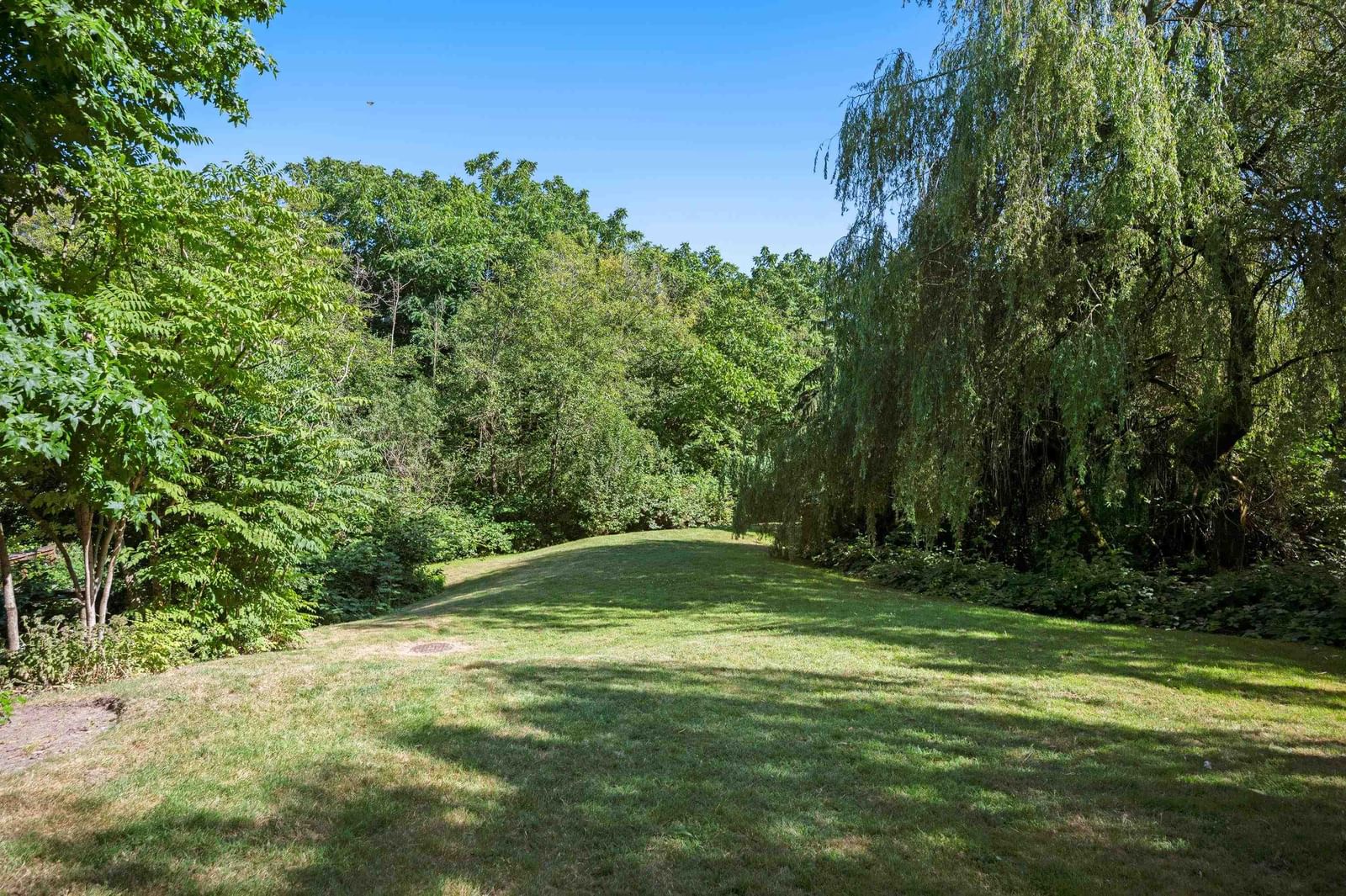 Listing Image 38
