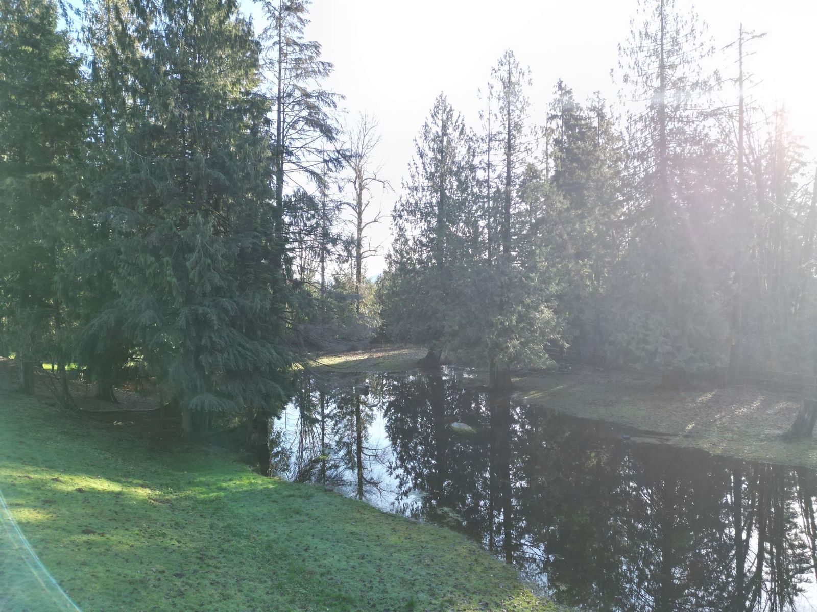 Listing Image 36