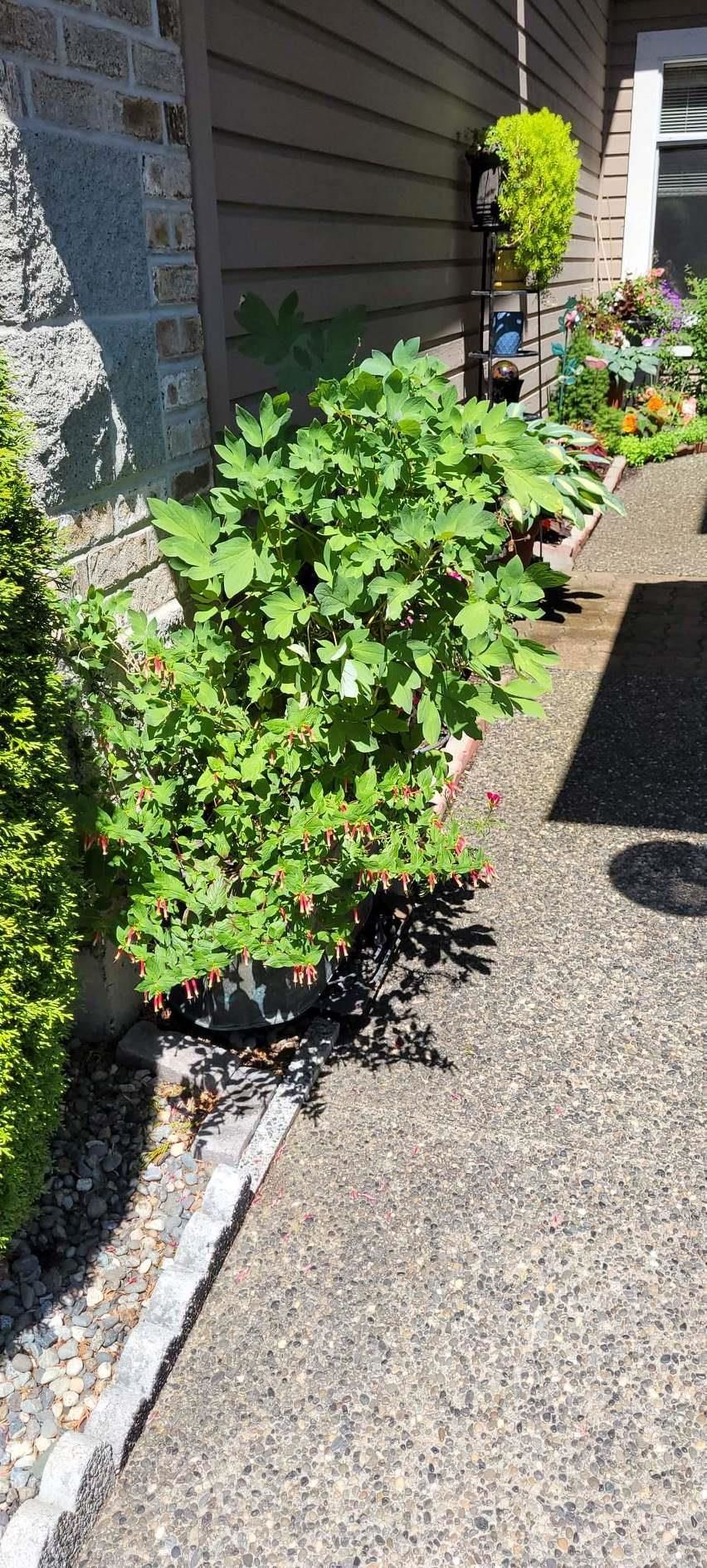 Listing Image 37