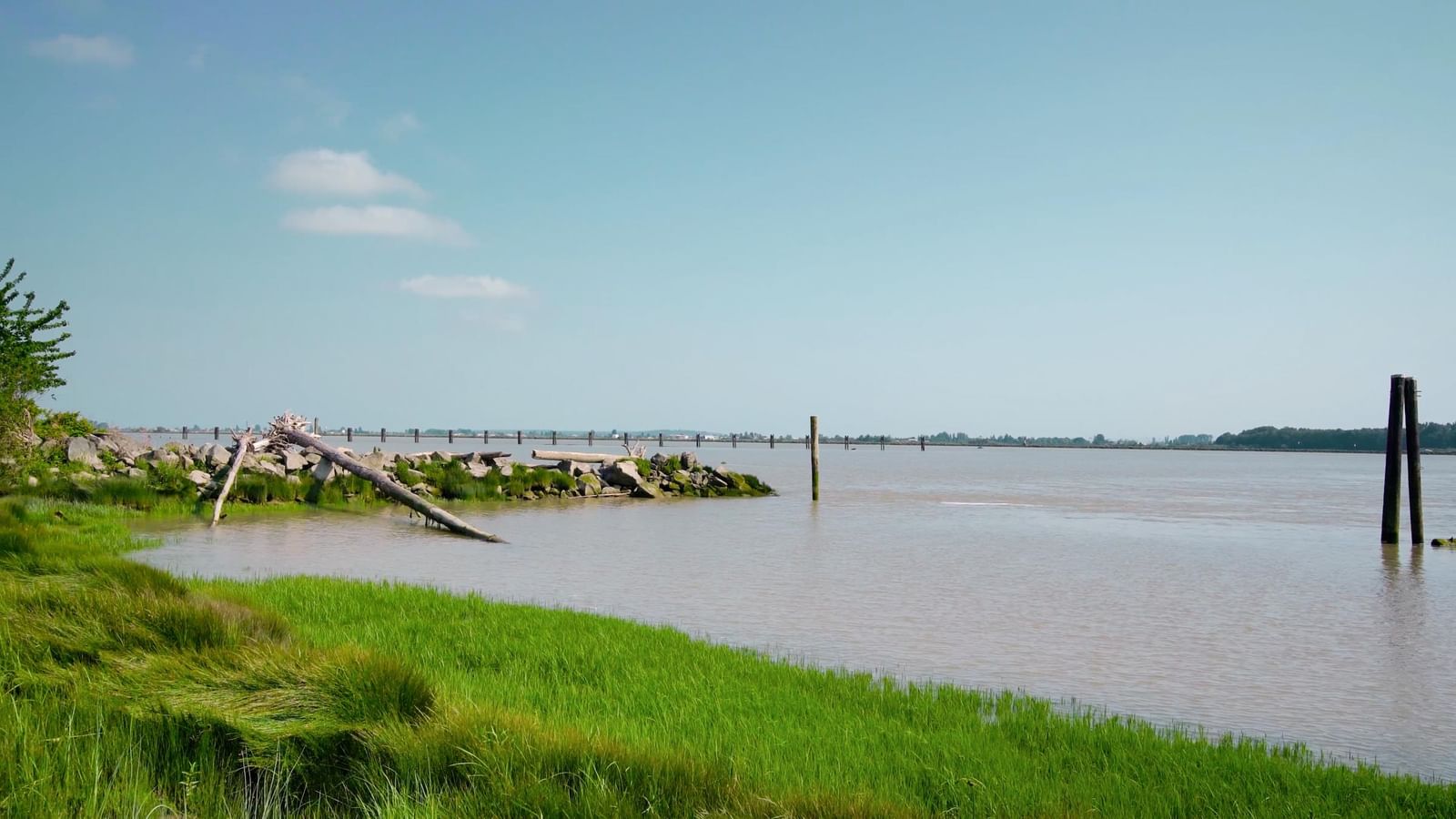 Listing Image 24