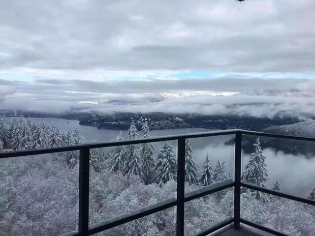 805 - 8850 University Crescent