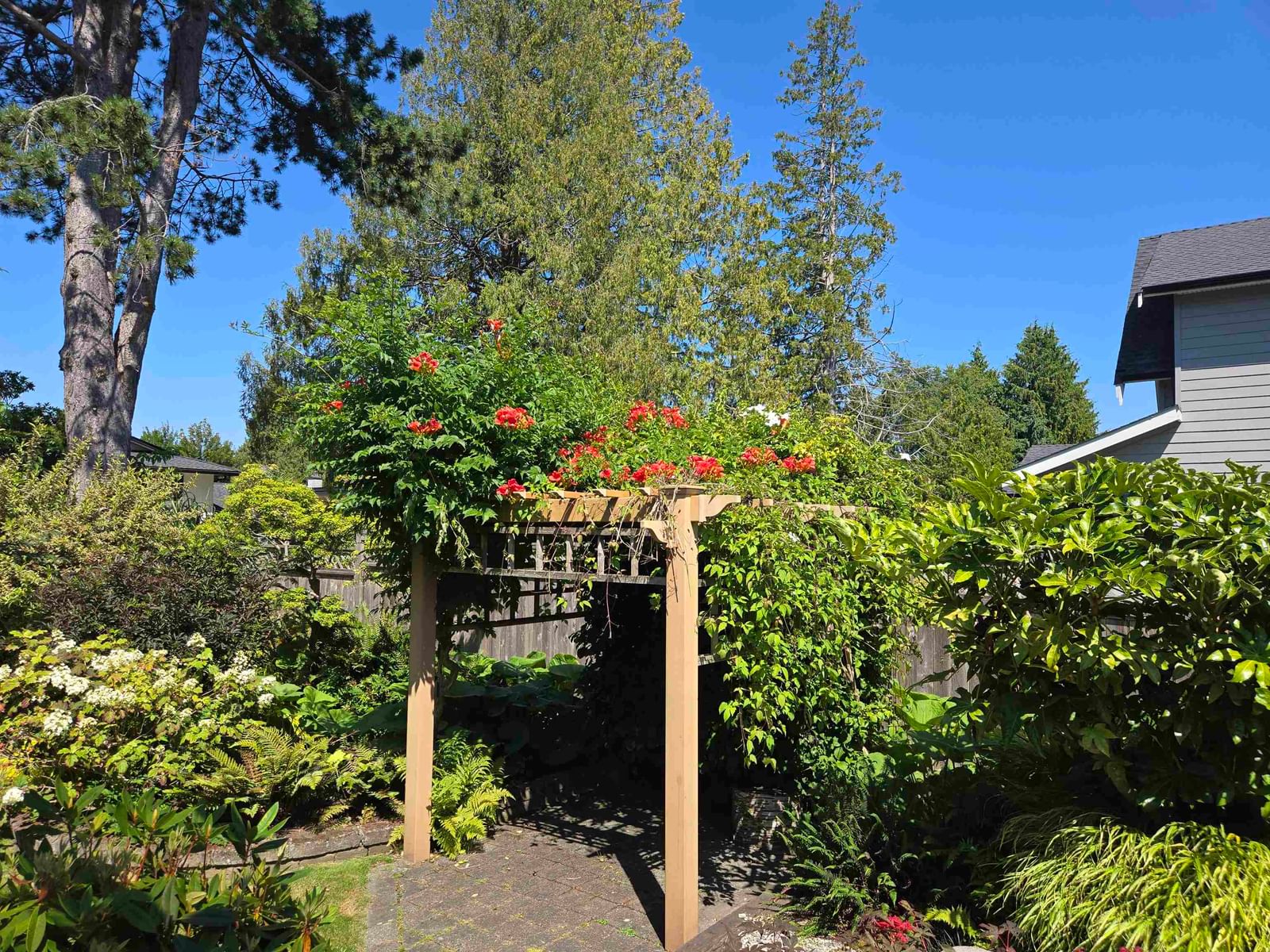Listing Image 8