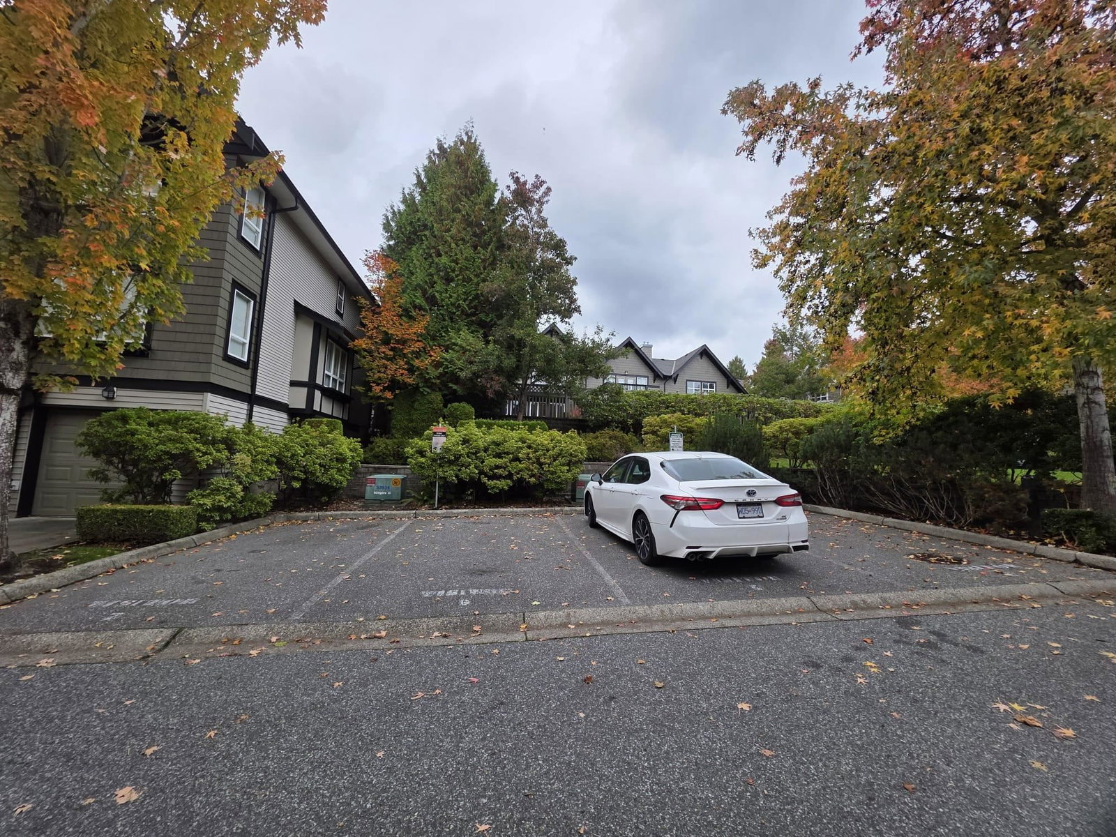 Listing Image 20