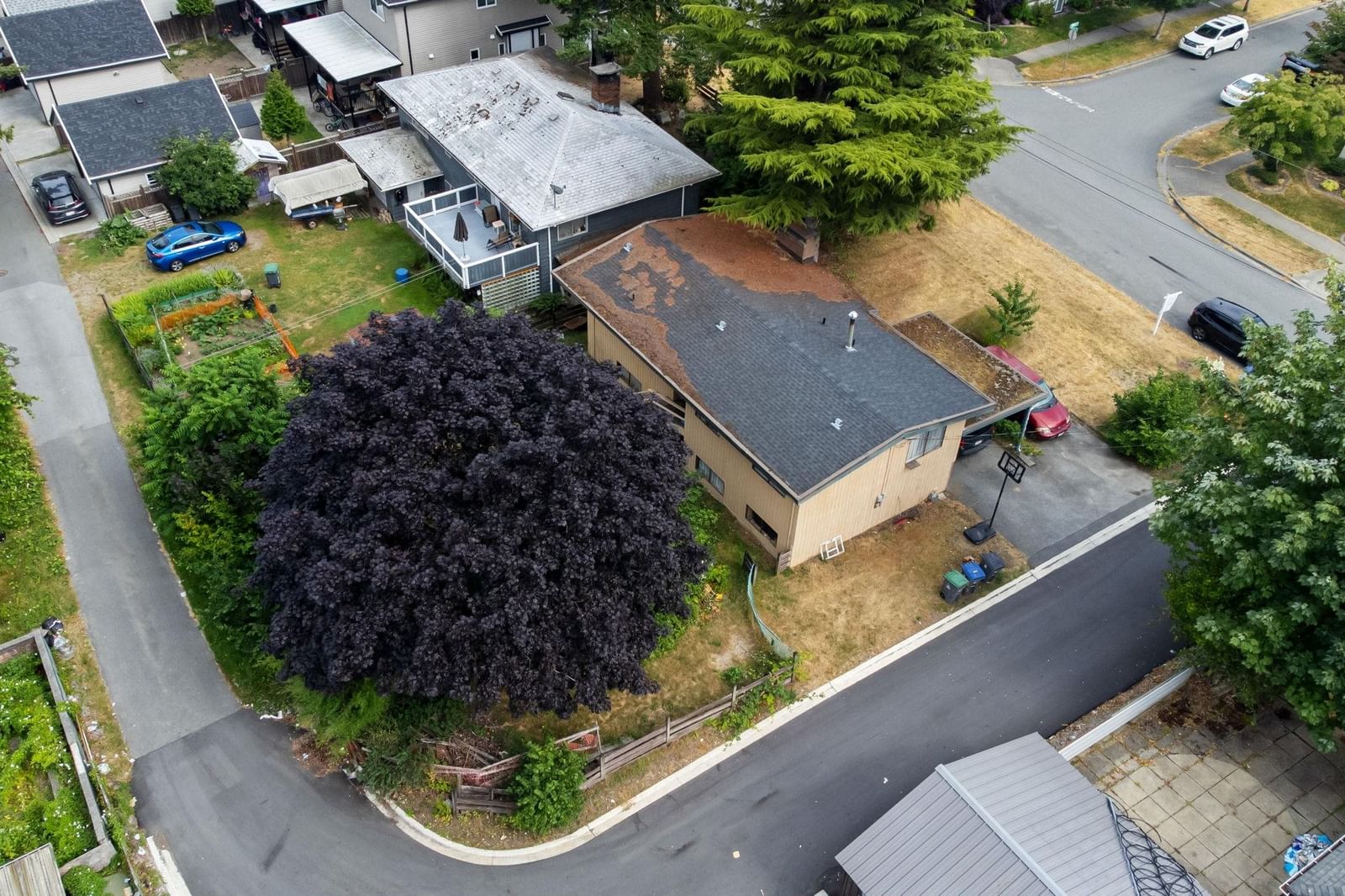 Listing Image 34