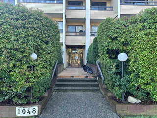 107 - 1048 King Albert Avenue