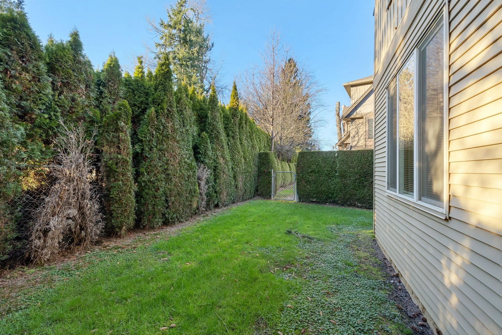 Listing Image 39