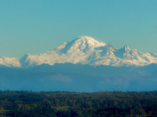 2001 - 1501 Foster Street