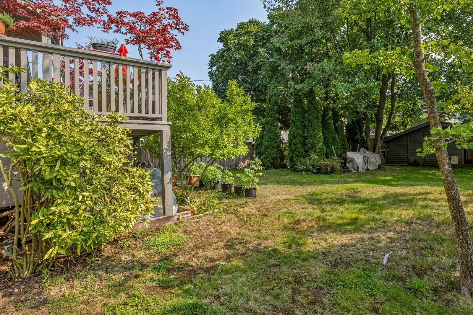 Listing Image 38