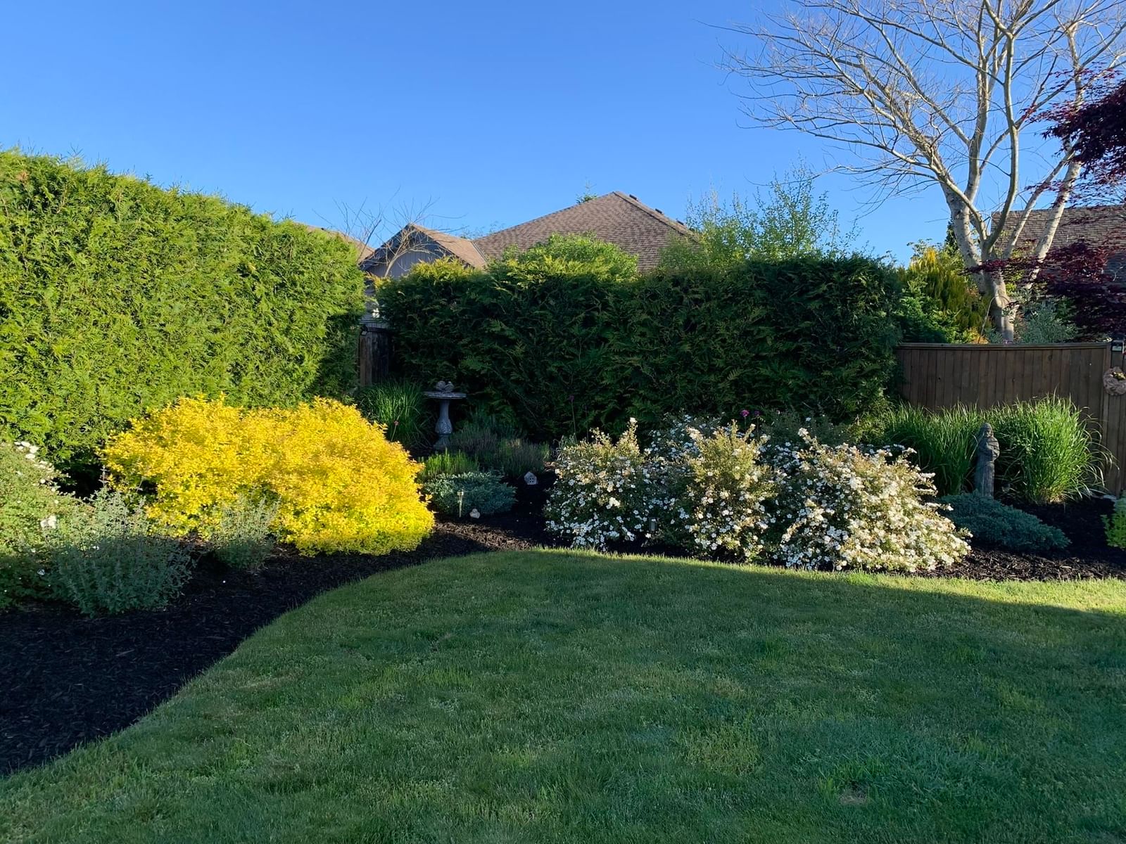 Listing Image 36