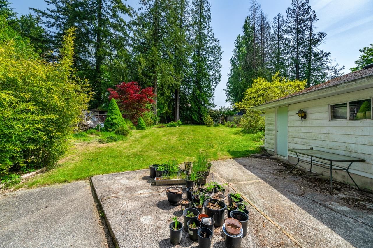 Listing Image 23