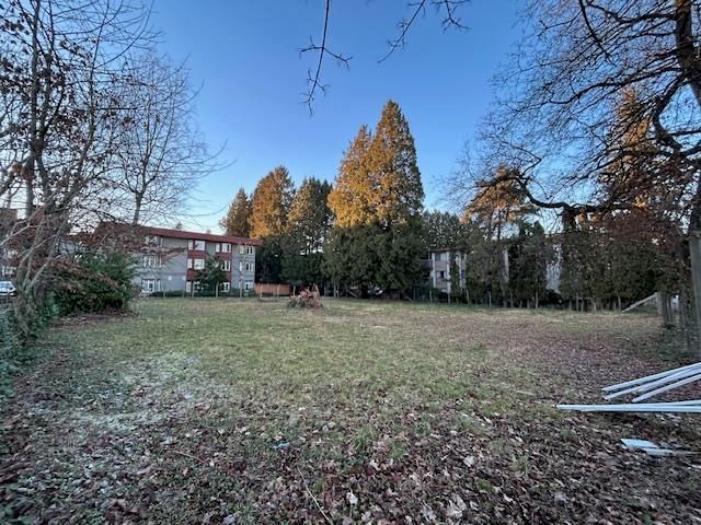 11951 222 Street, Maple Ridge, V2X 5V9 | Image 3