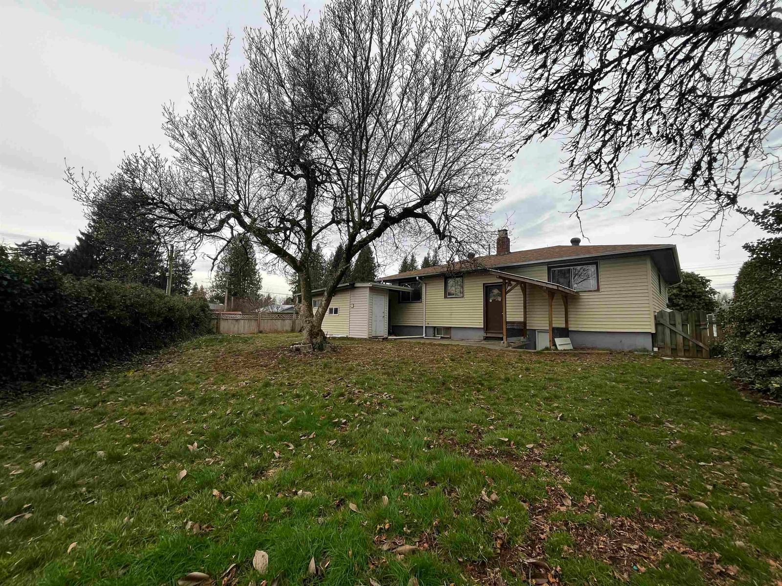 Listing Image 29