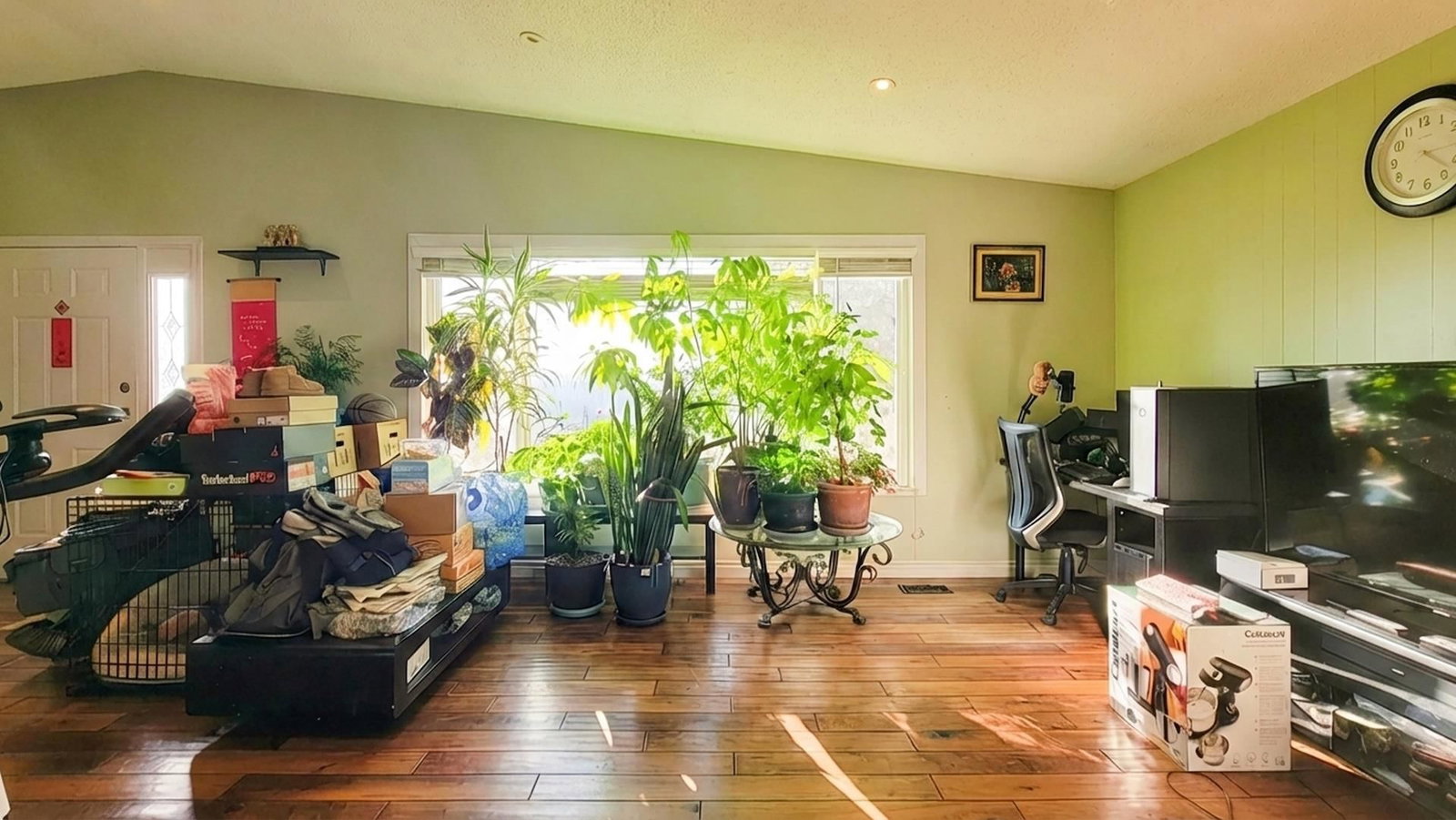 Listing Image 8