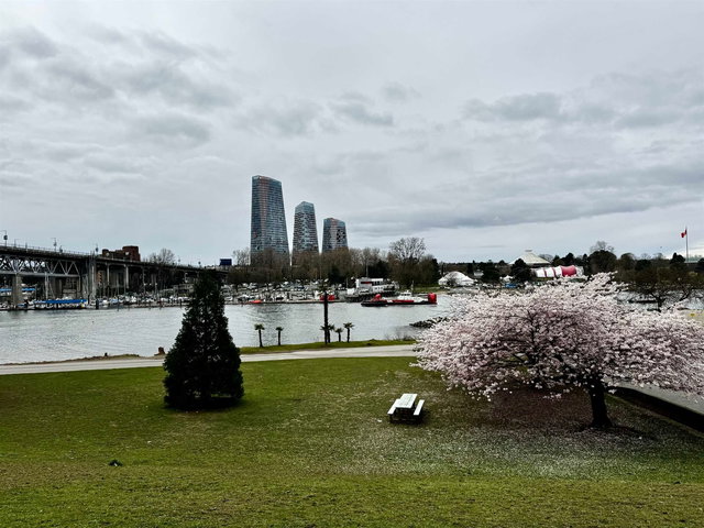 806 - 1005 Beach Avenue