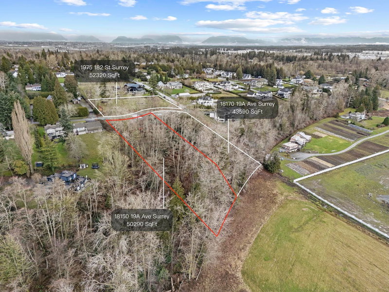 18150 19a Avenue, Surrey, V3Z 9V9 | Image 3