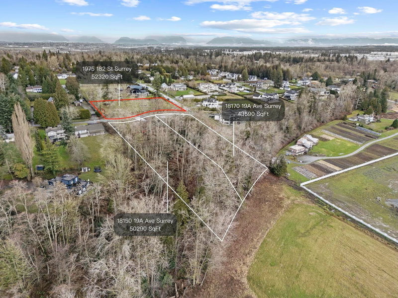 1975 182 Street, Surrey, V3Z 9V9 | Image 3