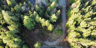 26806 124 Avenue | Maple Ridge | Image