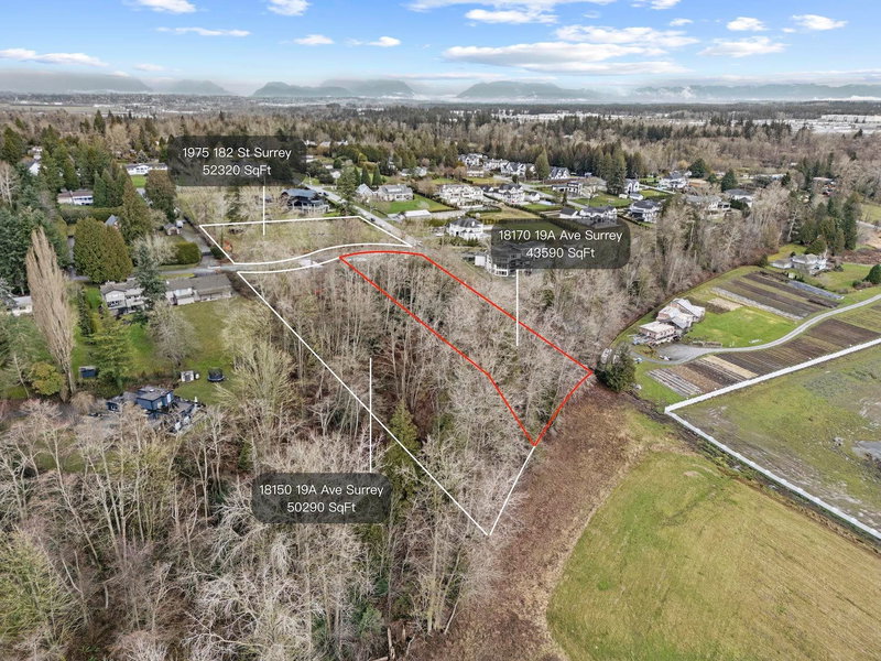 18170 19a Avenue, Surrey, V3Z 9V9 | Image 3