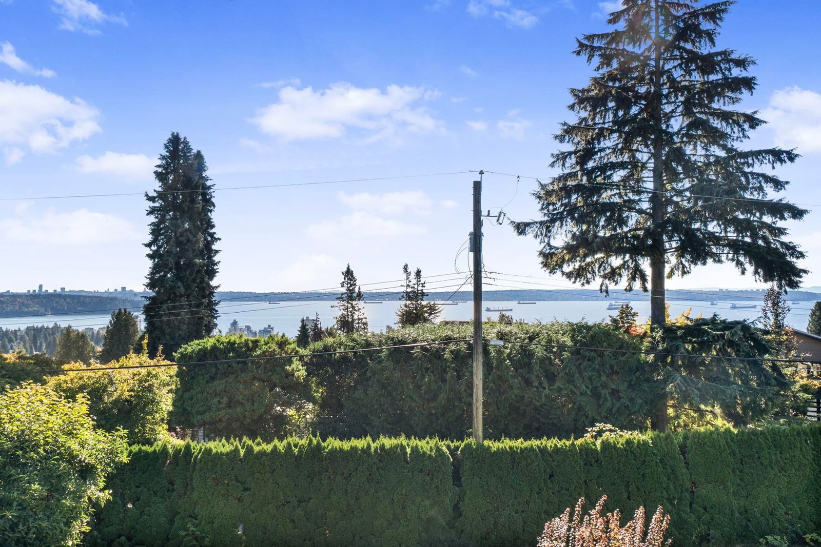 Listing Image 37