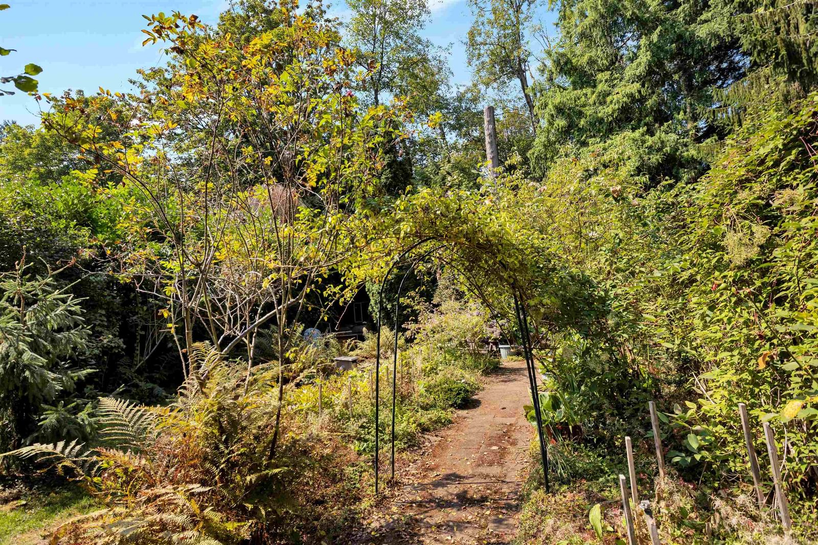 Listing Image 17
