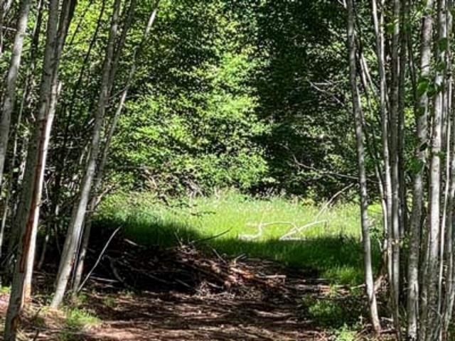 LOT 06 Cudmore Road