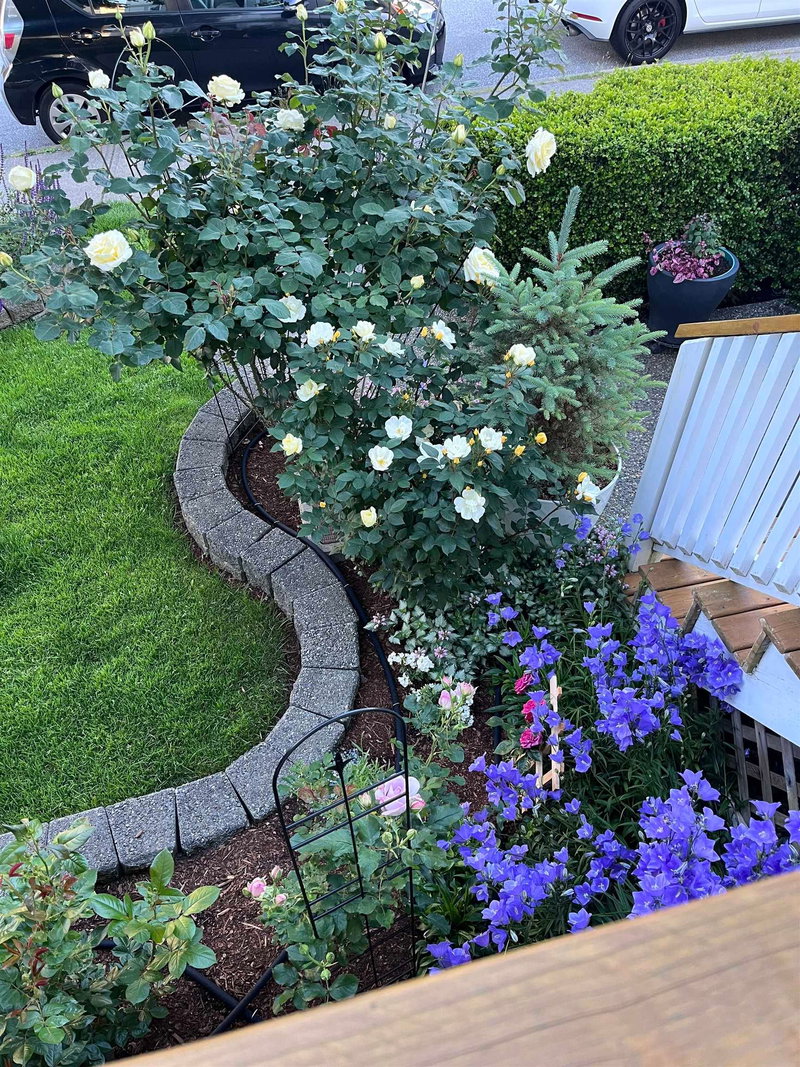 5776 149 Street, Surrey, V3S 8W4 | Image 3