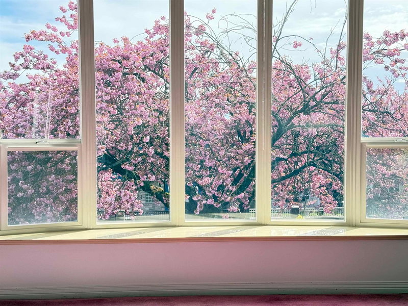 1257 60th Avenue, Vancouver, V5X 2A6 | Image 3