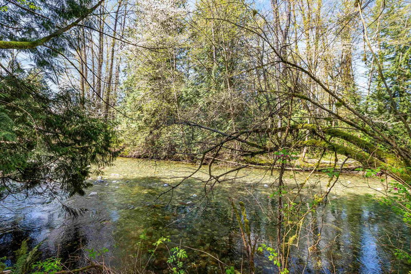 13209 232 Street, Maple Ridge, V4R 2S7 | Image 2