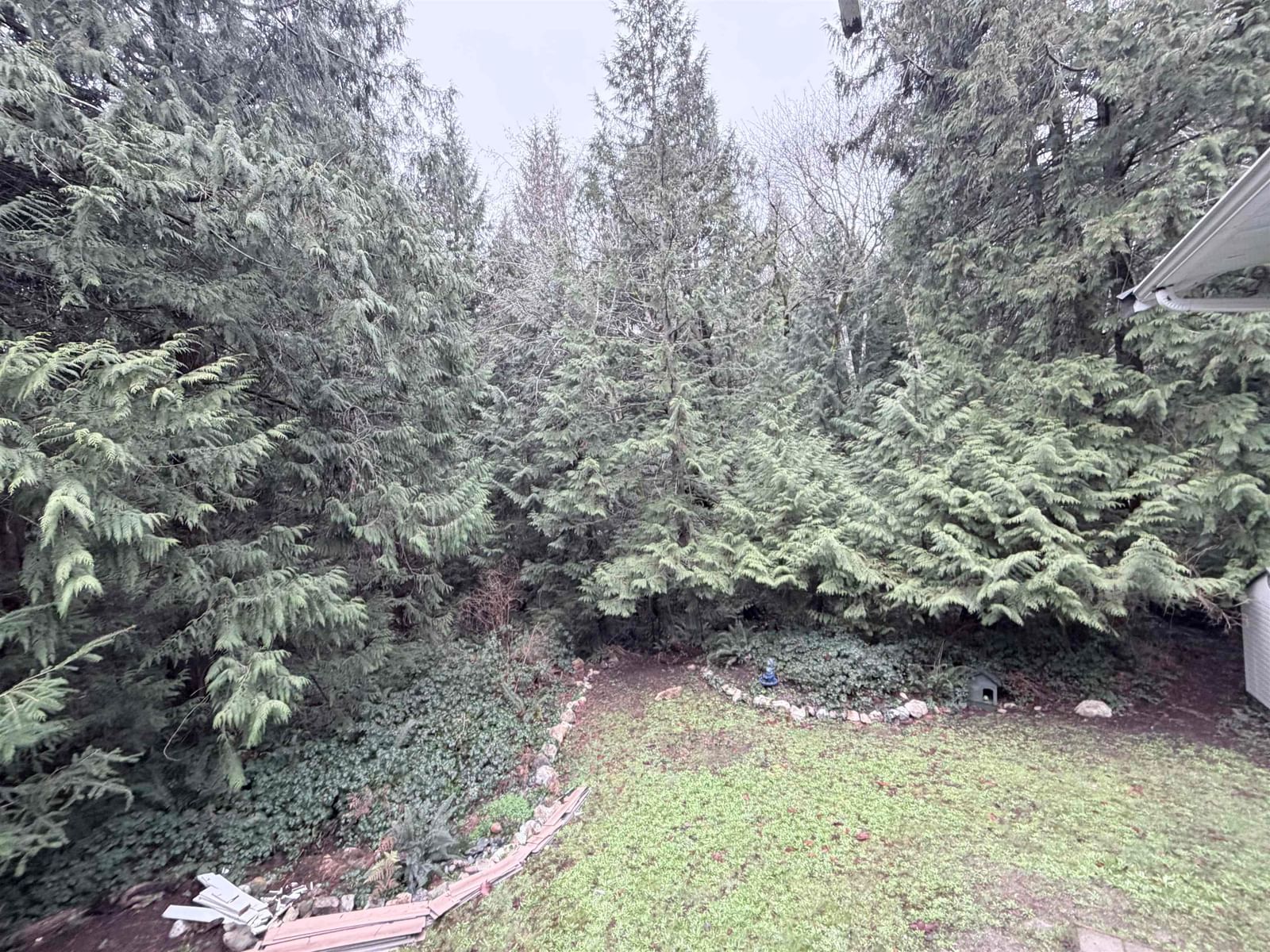 Listing Image 24
