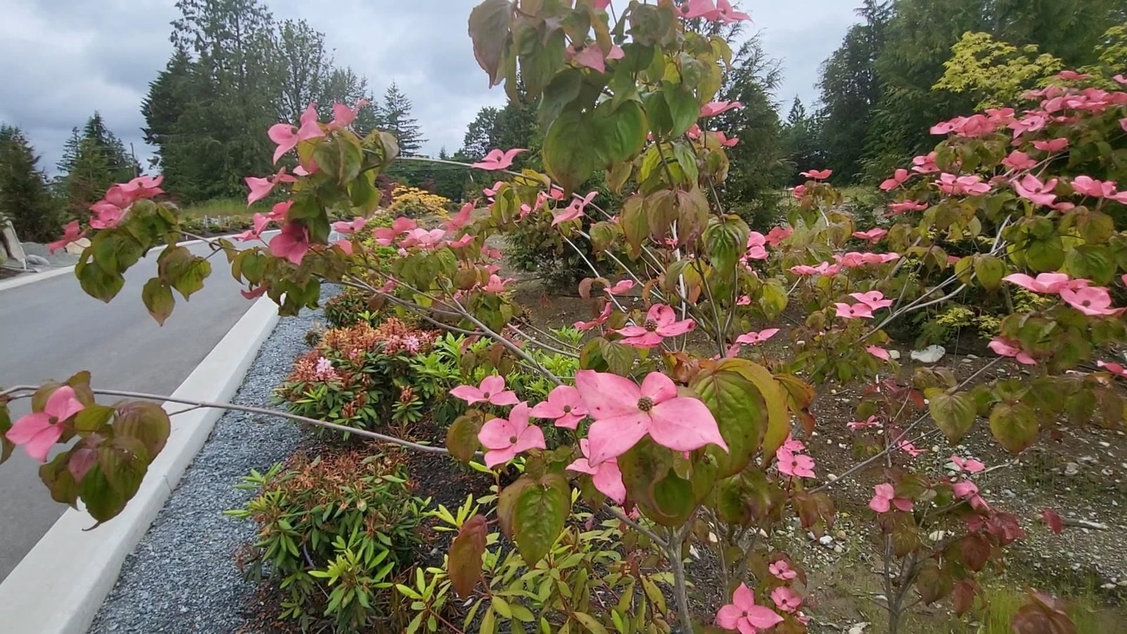 Listing Image 34