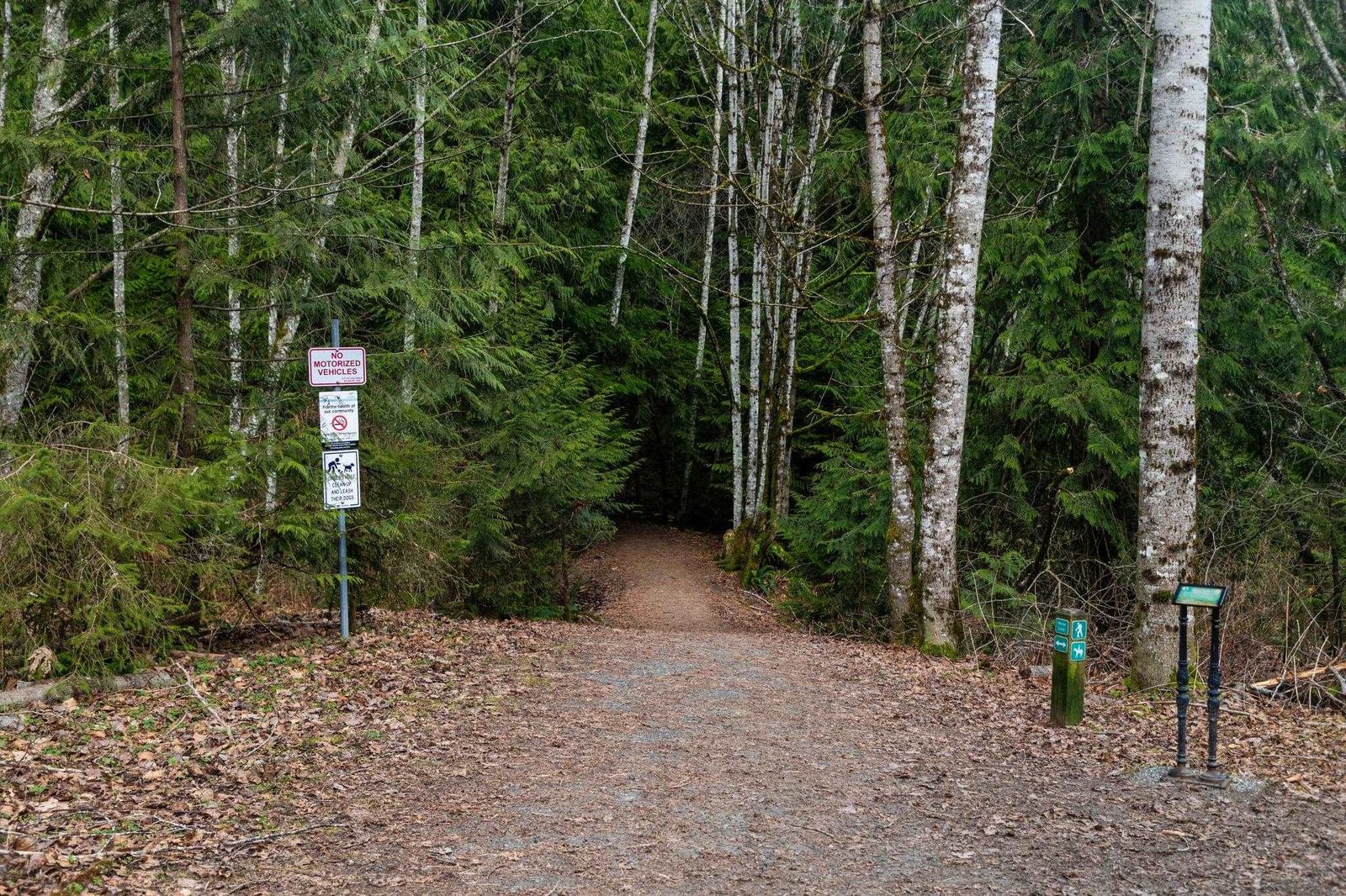 Listing Image 38