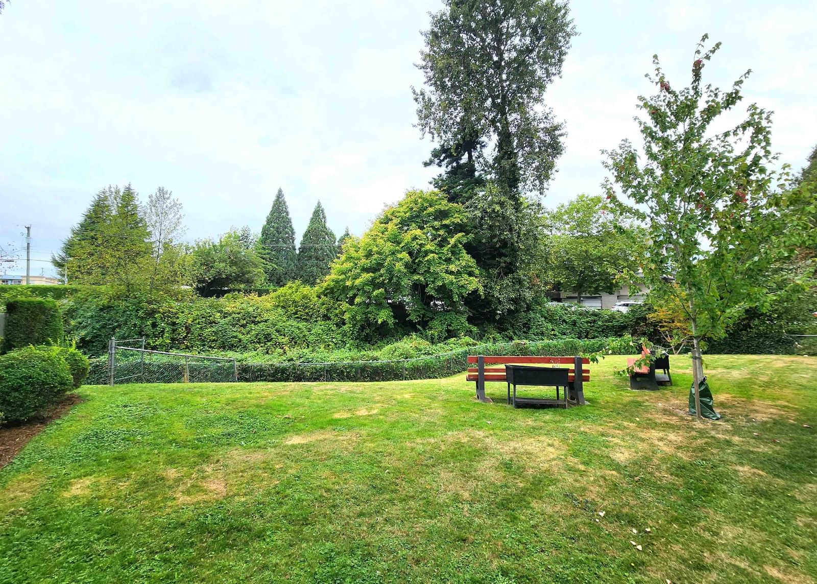 Listing Image 23