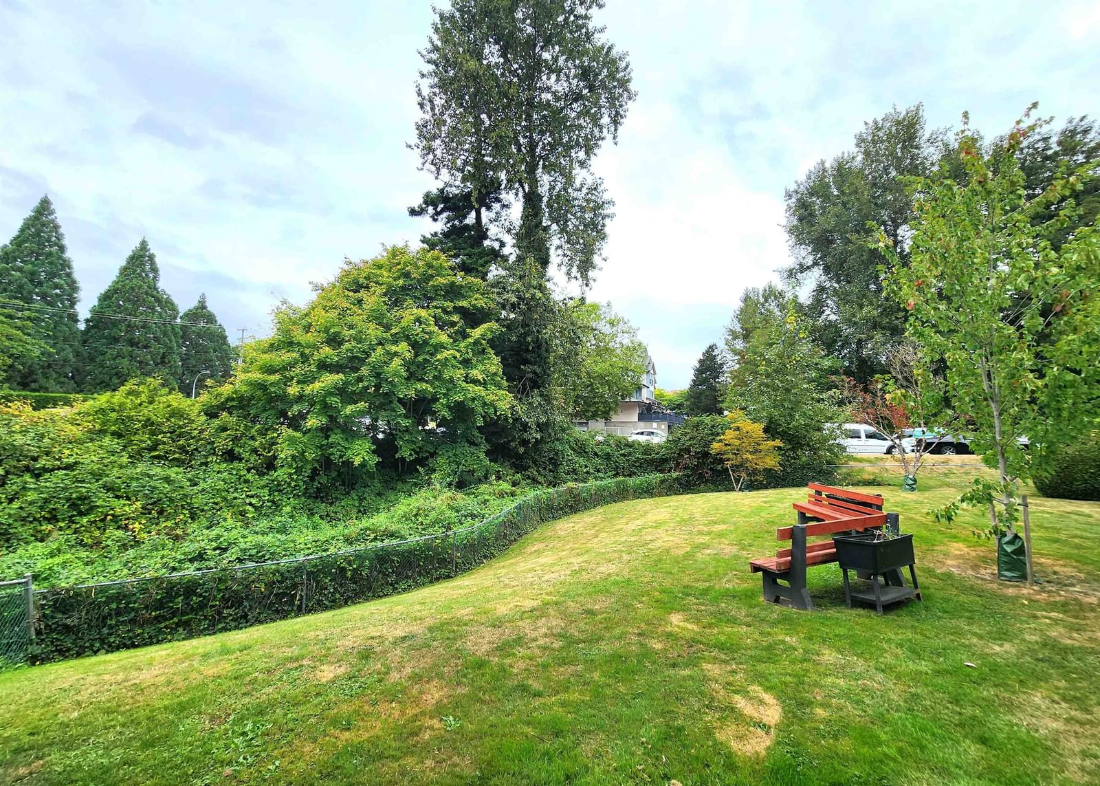 Listing Image 24