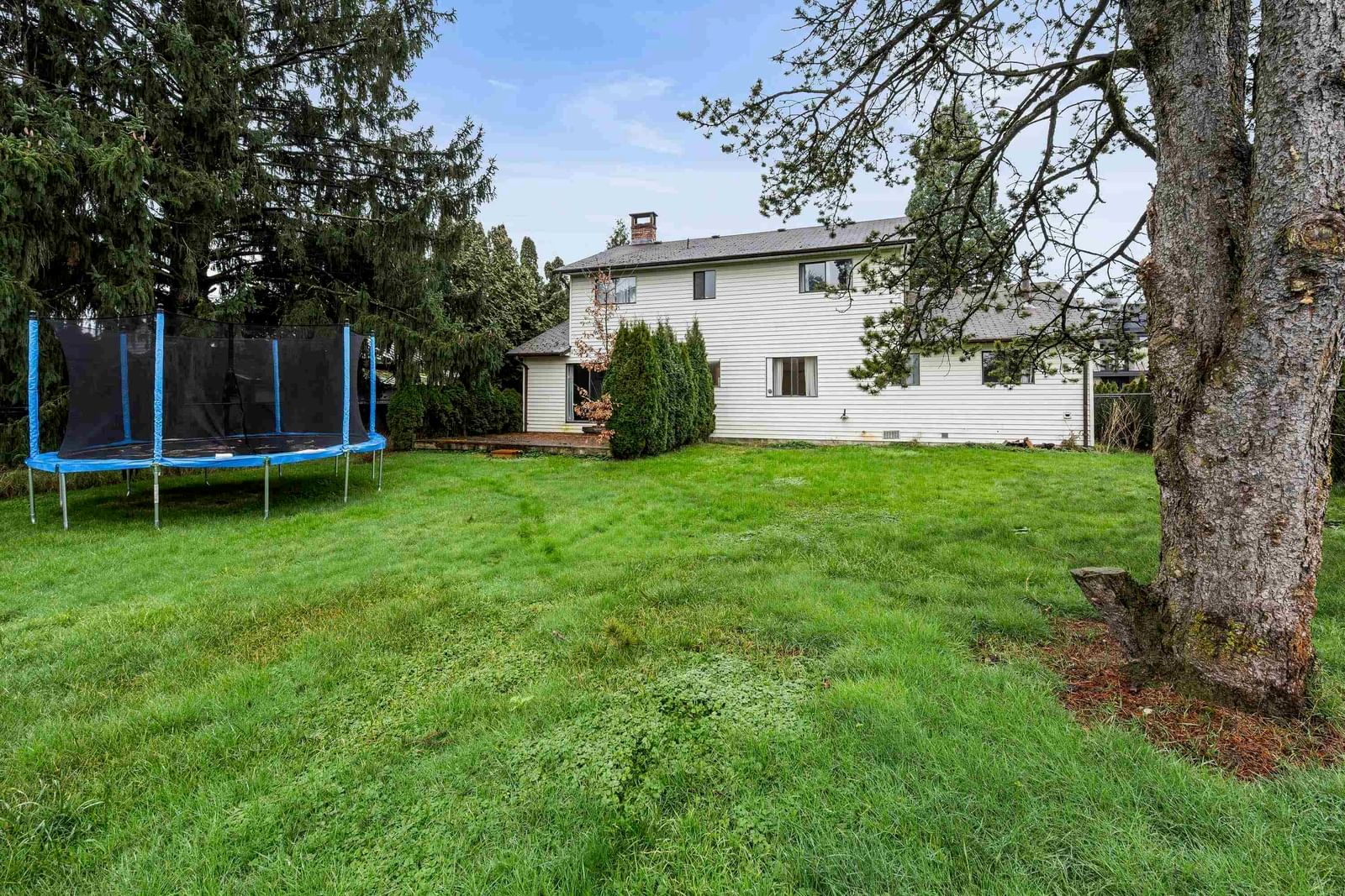 Listing Image 18