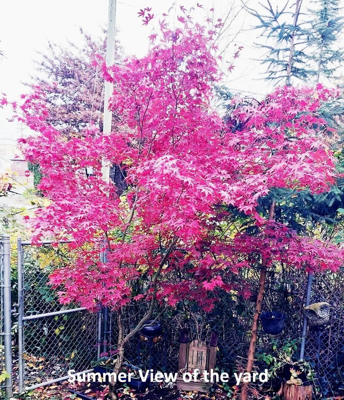 Listing Image 35