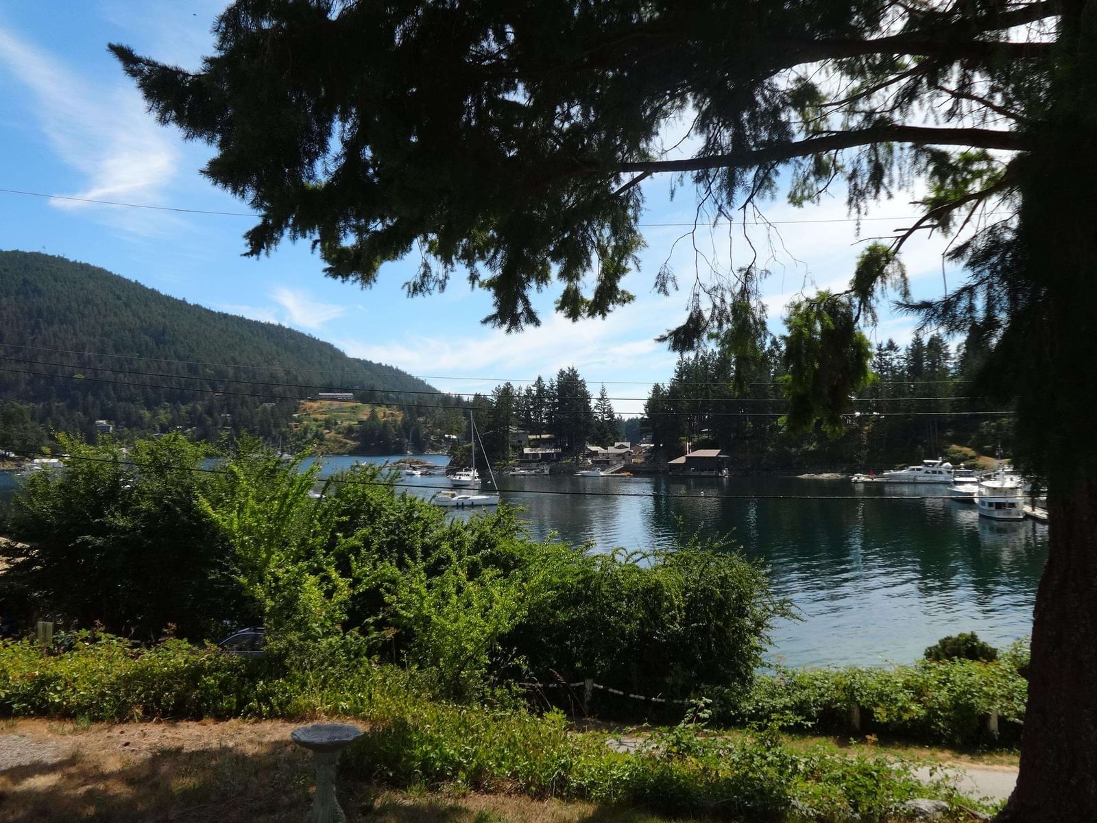Listing Image 6
