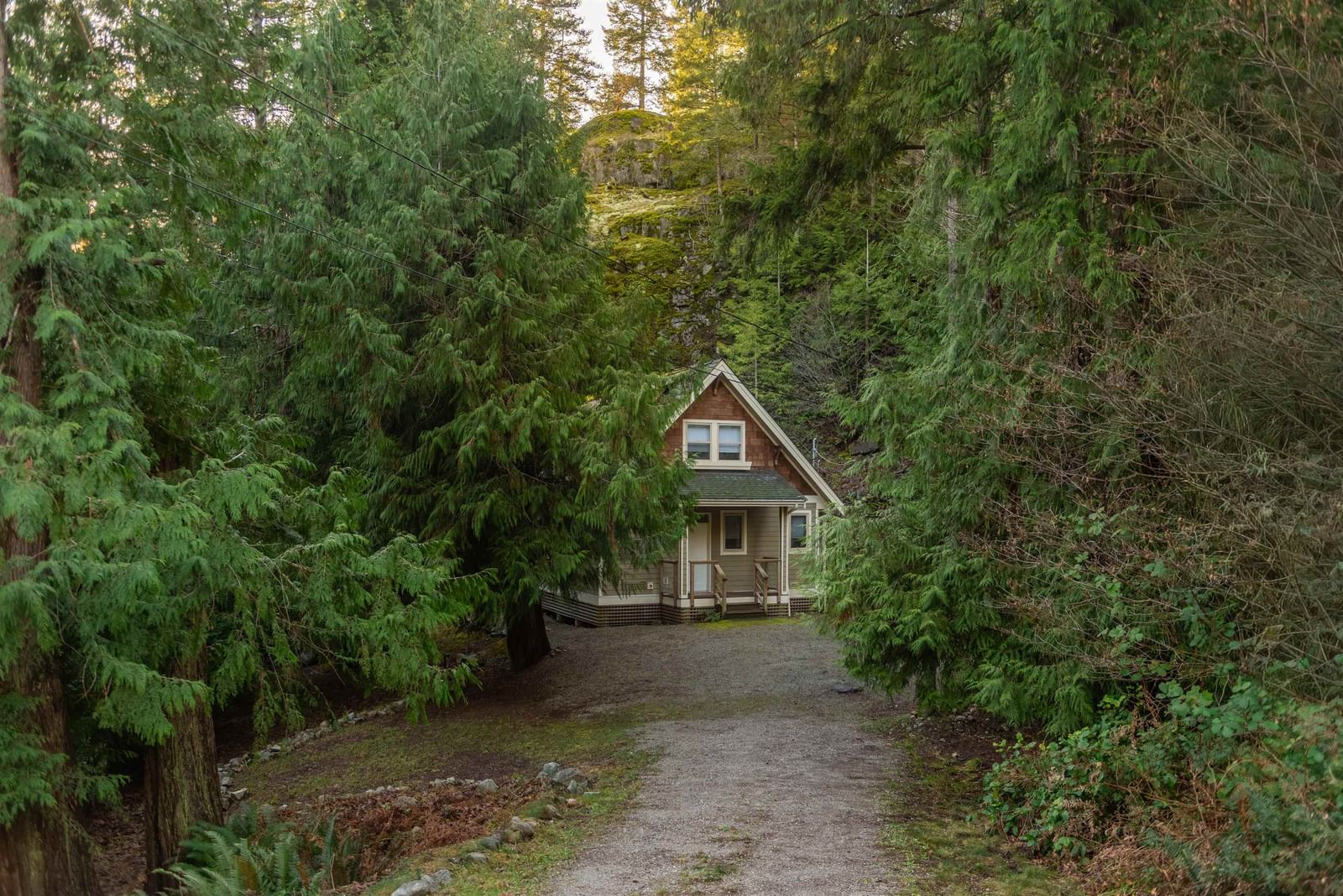 Listing Image 20