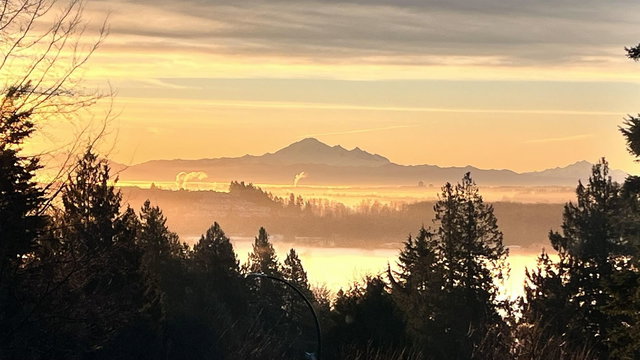 2519 Penshurst Court