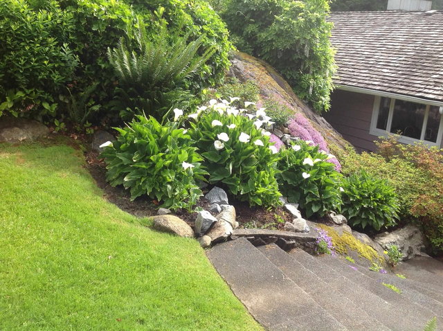 475 Southborough Drive