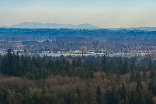 3126 Silverthrone Drive