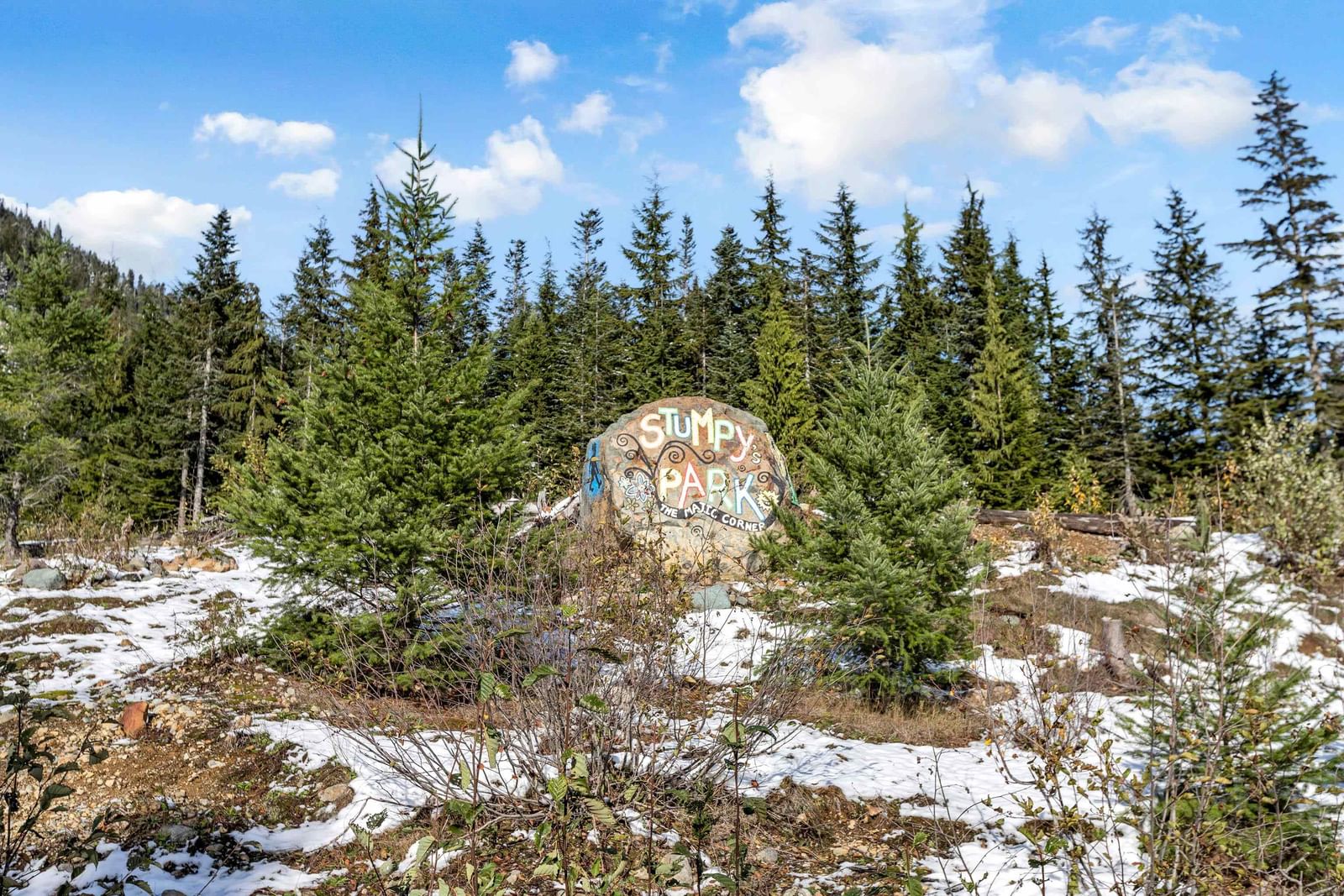Listing Image 4