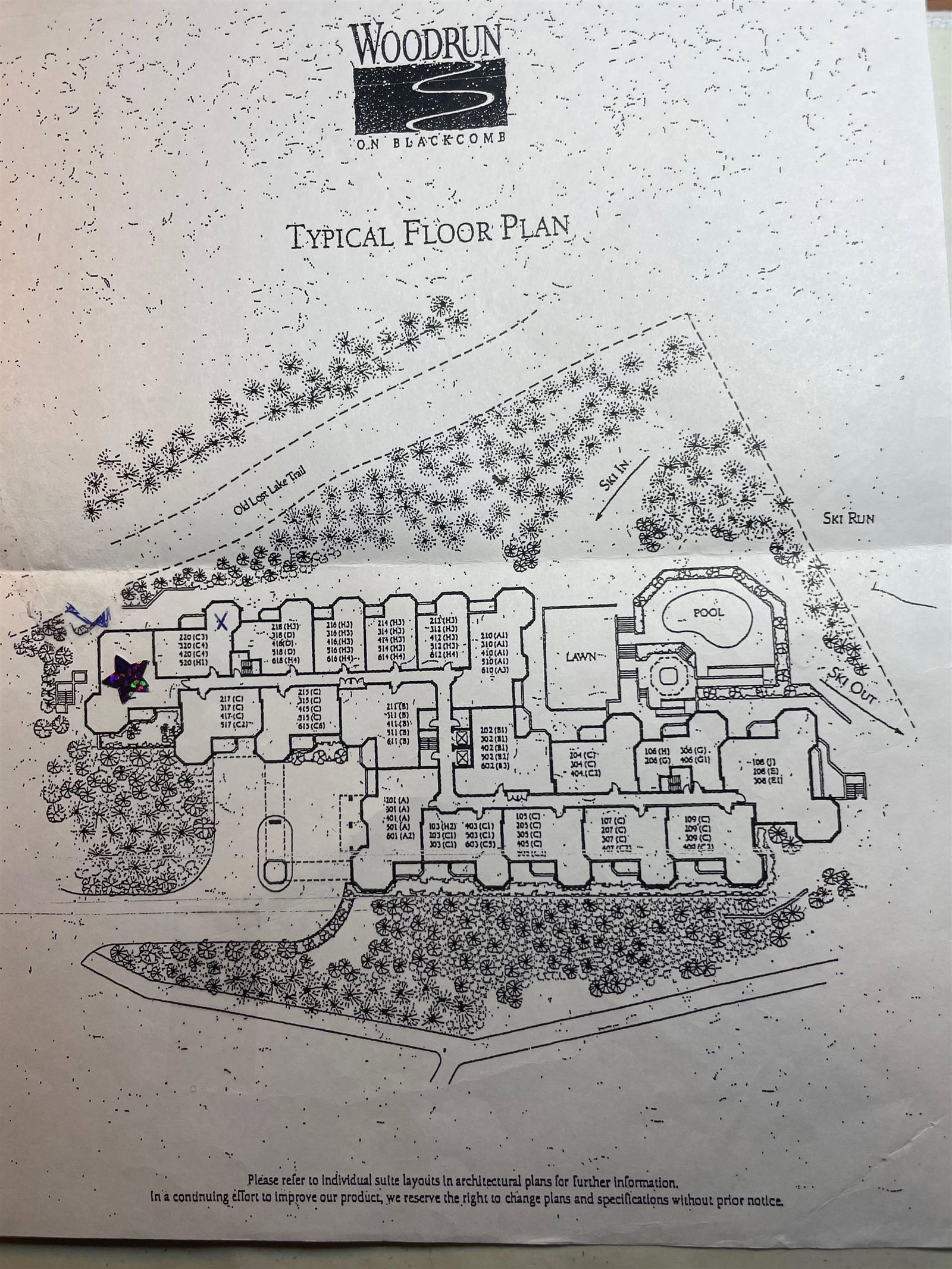 Listing Image 23