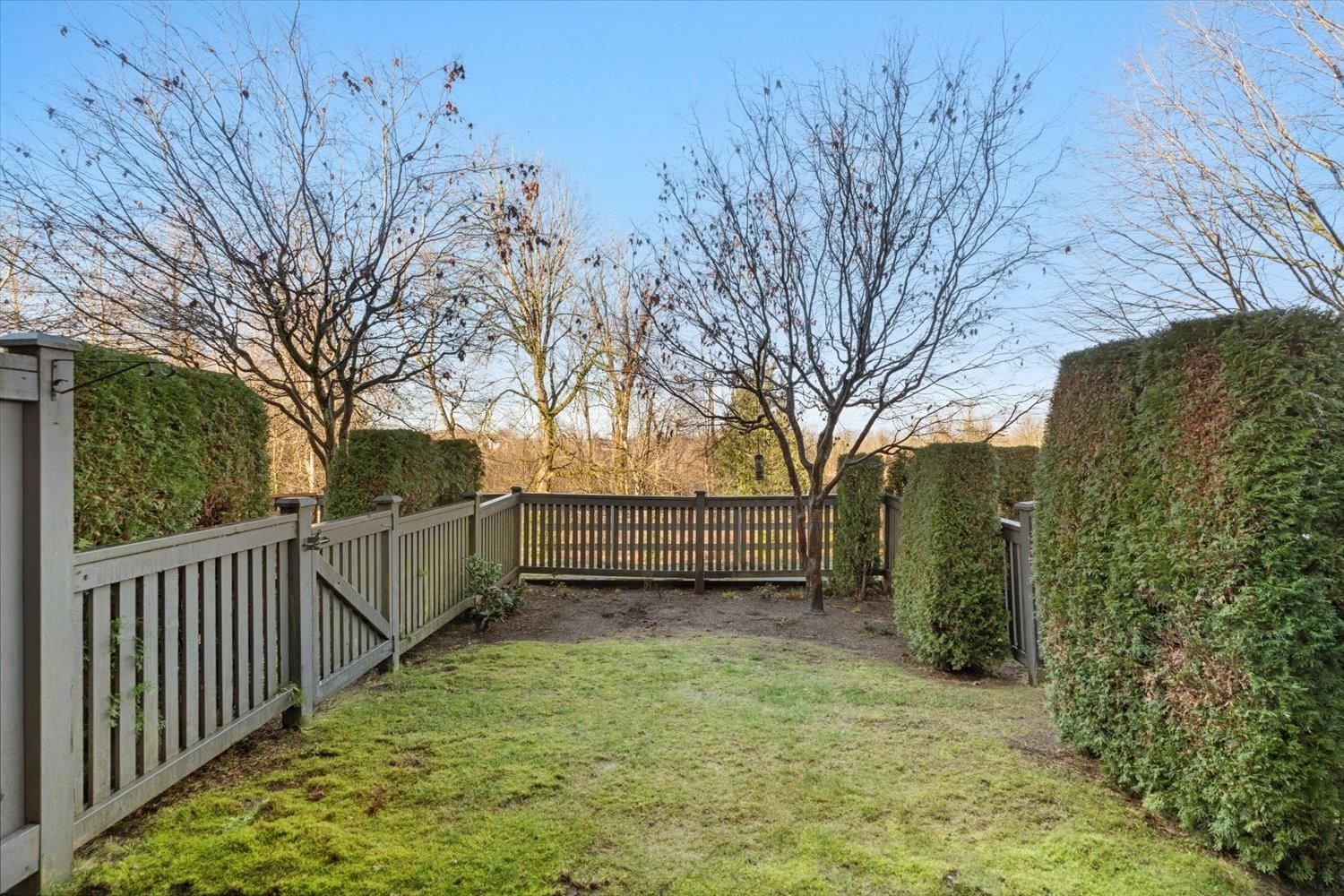 Listing Image 29