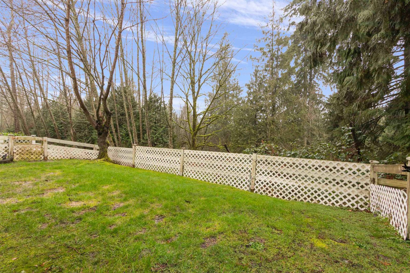 Listing Image 29
