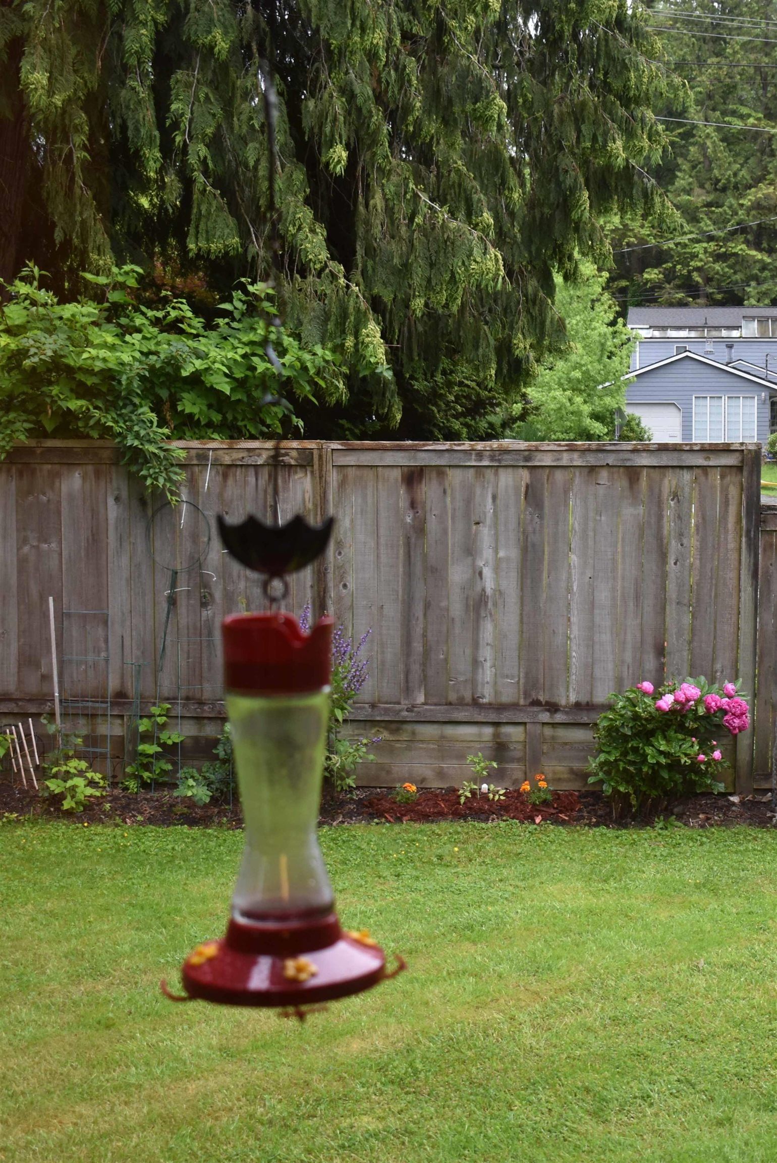 Listing Image 18