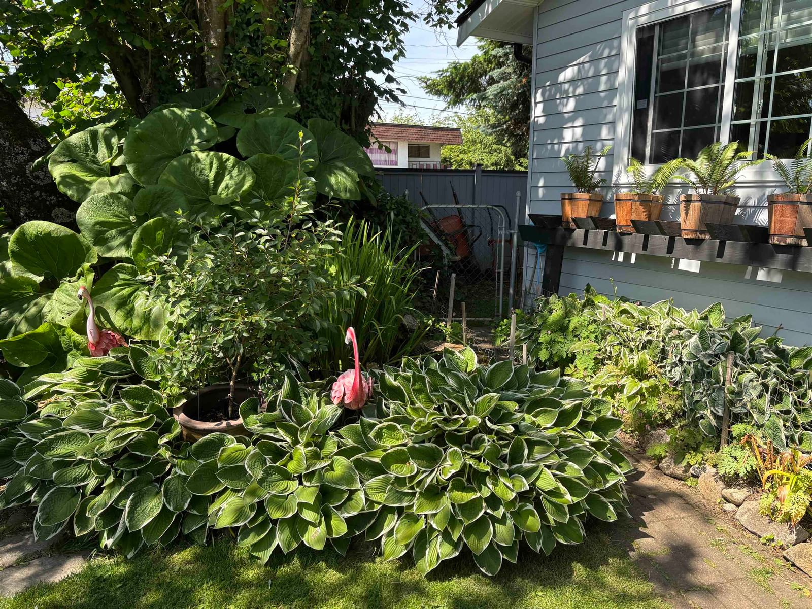 Listing Image 36