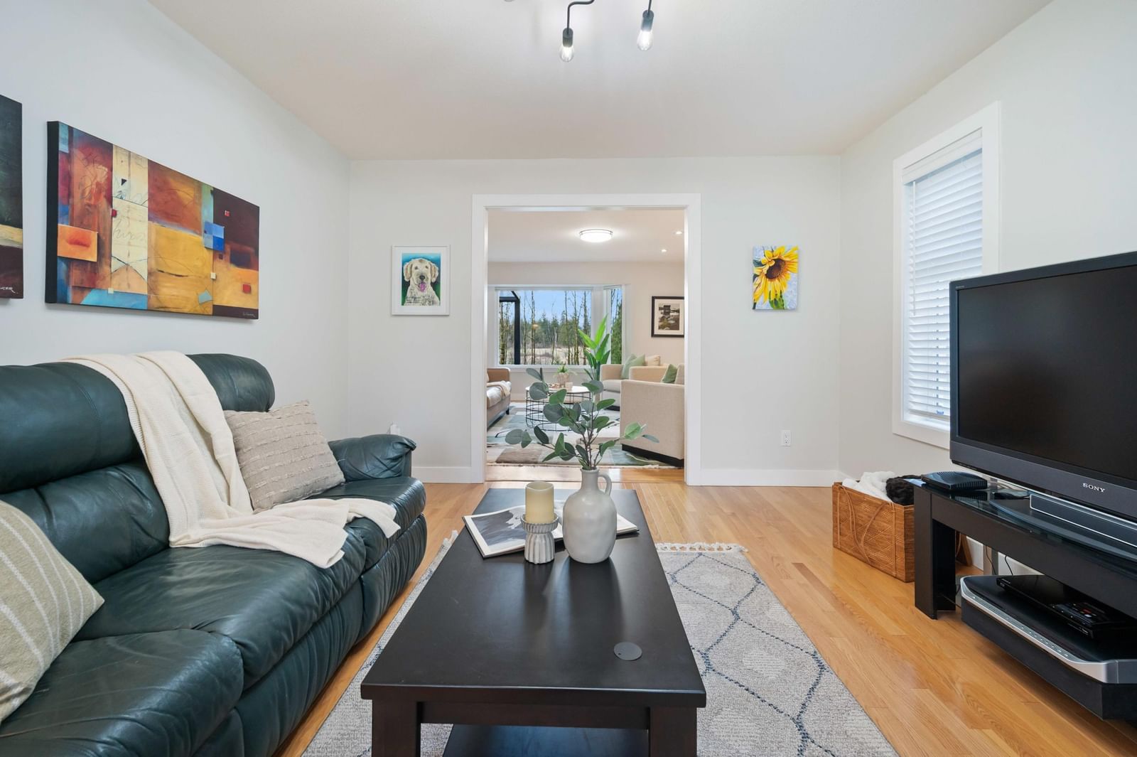 Listing Image 11